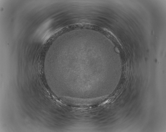 X0000085790919200703161119