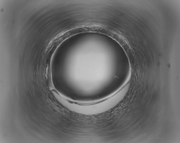 X0000085790920200703161119