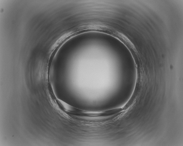 X0000085790938200703161120