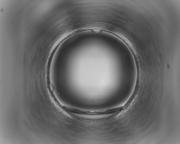 X0000085790949200703161120