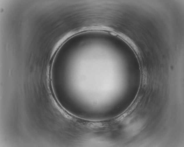 X0000085791006200703161119