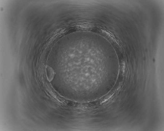 X0000085791009200703161118