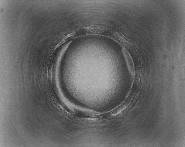 X0000085791010200703161118