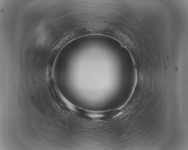 X0000085791012200703161118