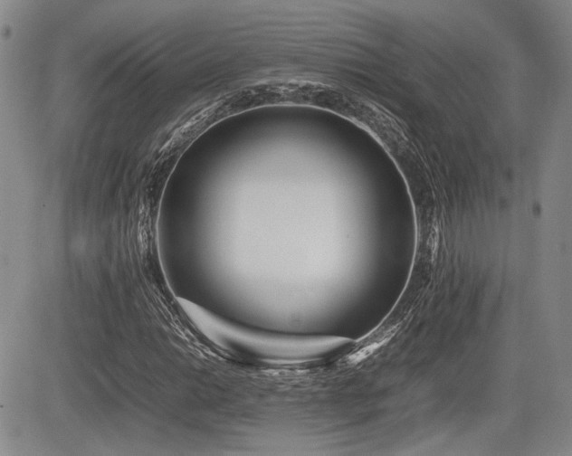 X0000085791014200703161118