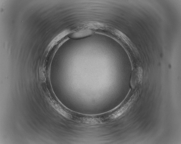X0000085791018200703161118