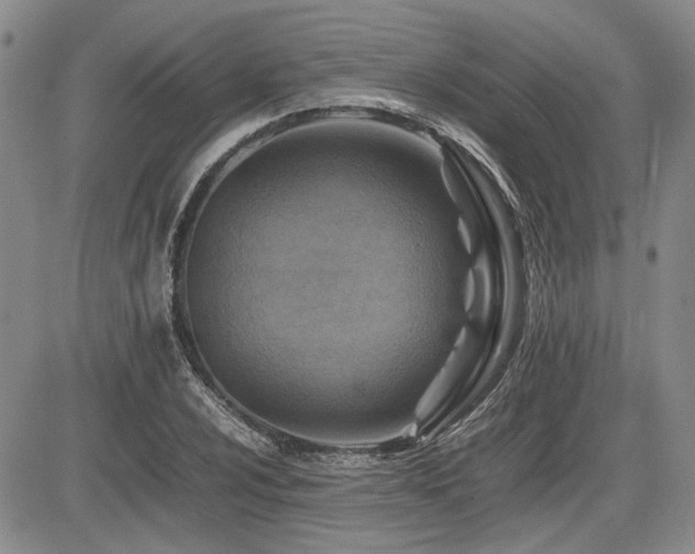 X0000085791024200703161118