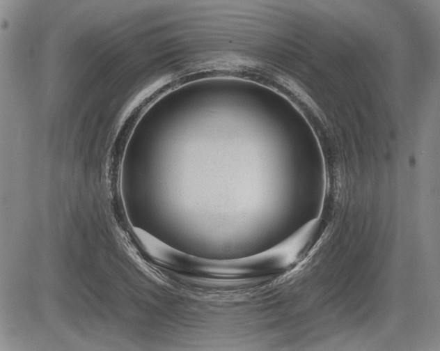 X0000085791026200703161118