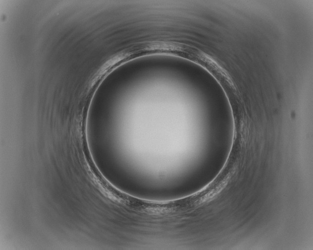 X0000085791033200703161118