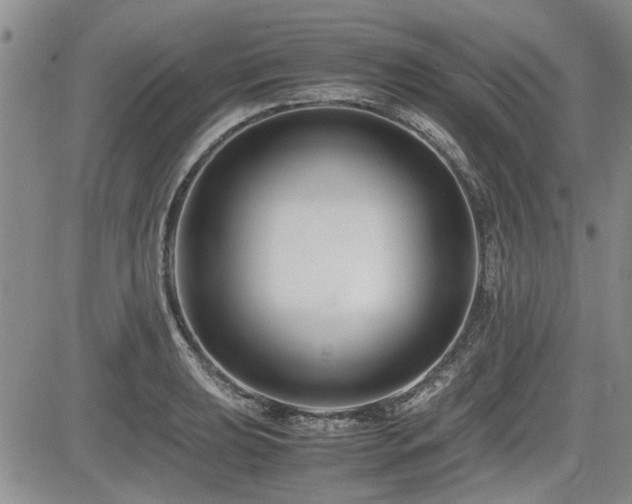 X0000085791039200703161118