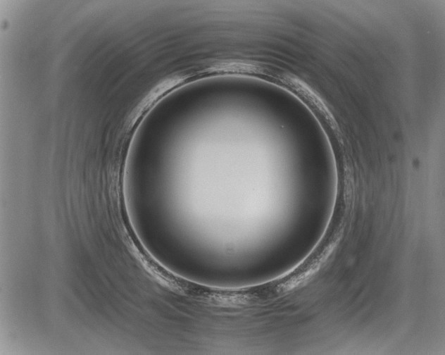 X0000085791041200703161118