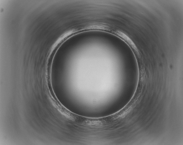 X0000085791043200703161118