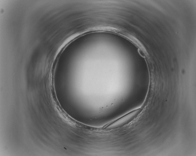 X0000085791044200703161118