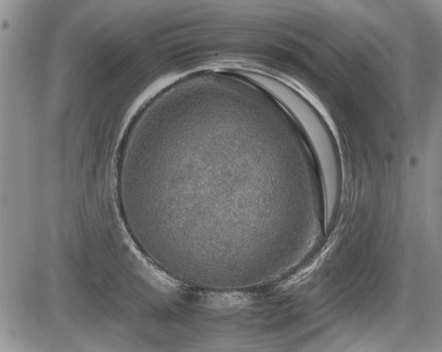 X0000085791045200703161118