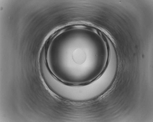 X0000085791046200703161118