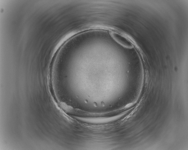 X0000085791048200703161118