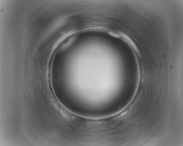 X0000085791051200703161118