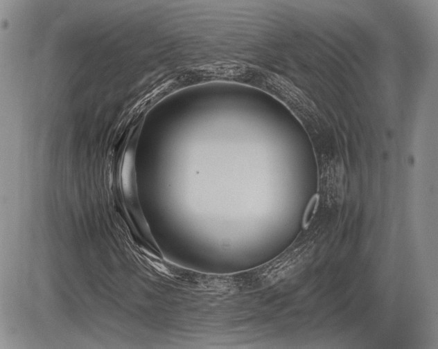 X0000085791058200703161118