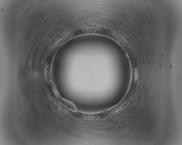 X0000085791059200703161118