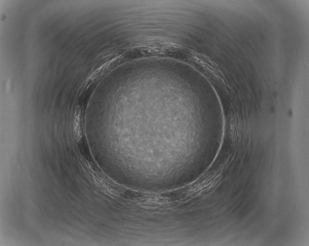 X0000085791060200703161118