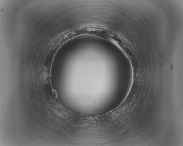 X0000085791062200703161118