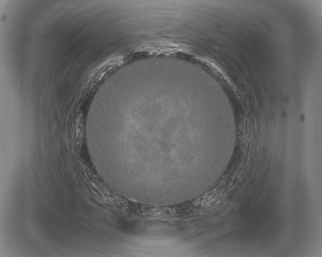 X0000085791063200703161118