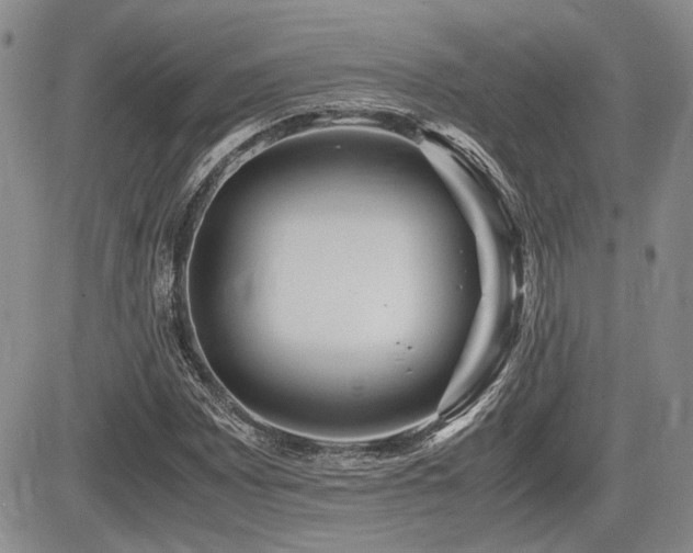 X0000085791065200703161118