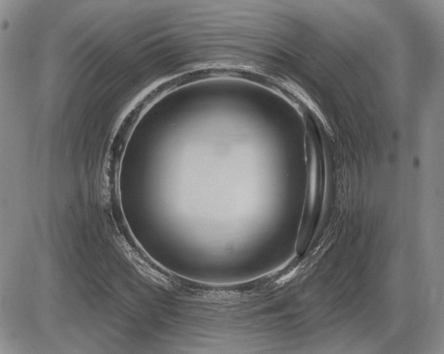 X0000085791068200703161118