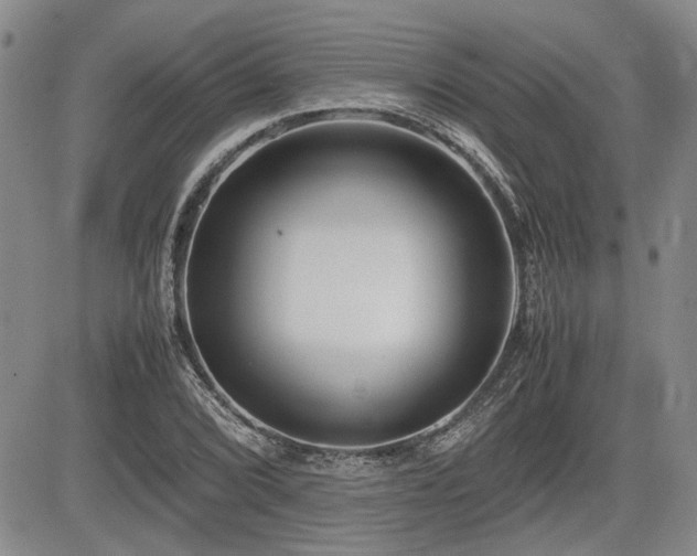 X0000085791072200703161117