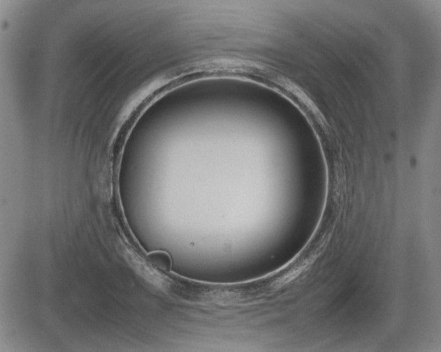 X0000085791075200703161117