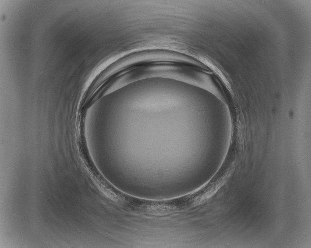 X0000085791077200703161117