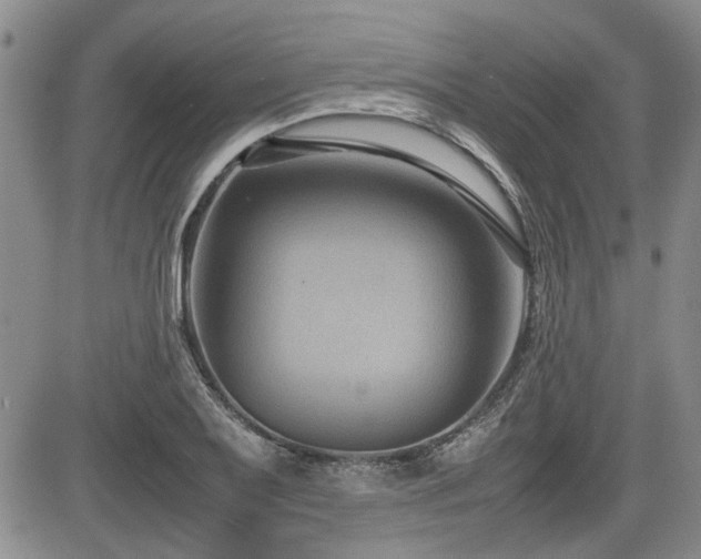 X0000085791079200703161117