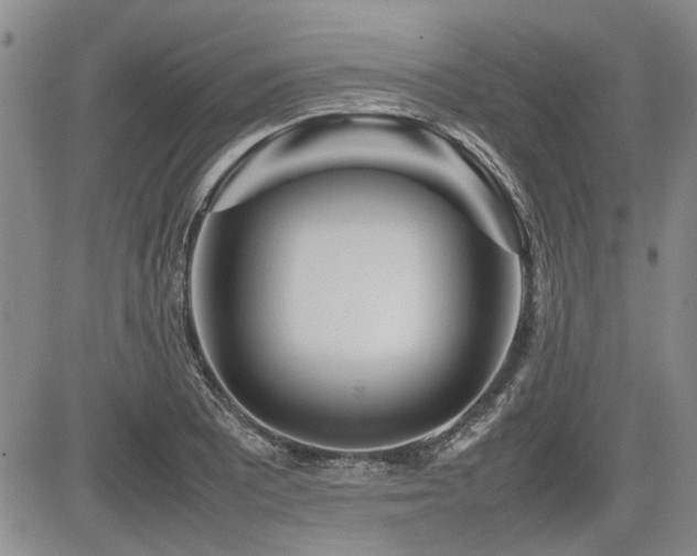 X0000085791081200703161117
