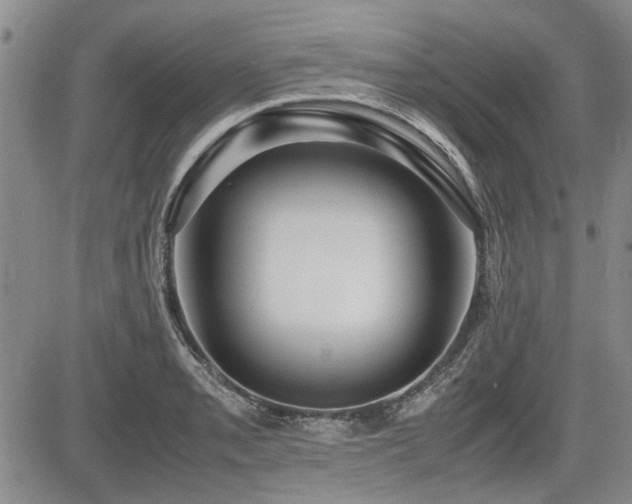 X0000085791085200703161117