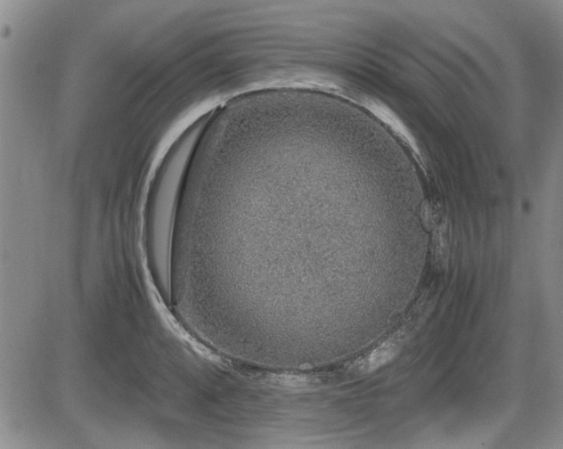 X0000085791088200703161117