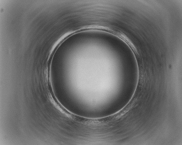 X0000085791092200703161117