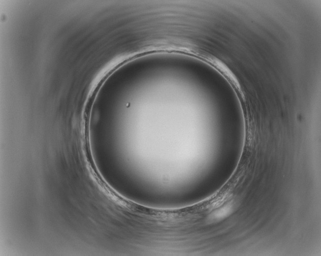 X0000085791096200703161117