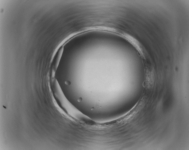 X0000085791100200703161117