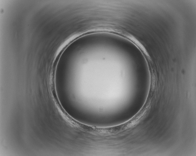X0000085791101200703161117