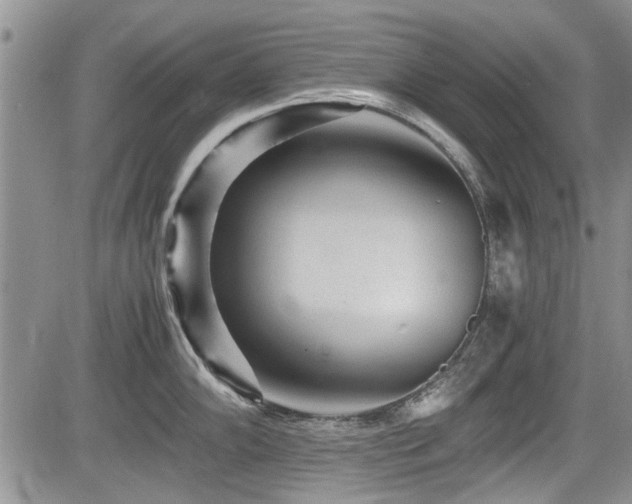 X0000085791102200703161117