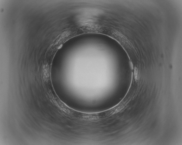 X0000085791107200703161116