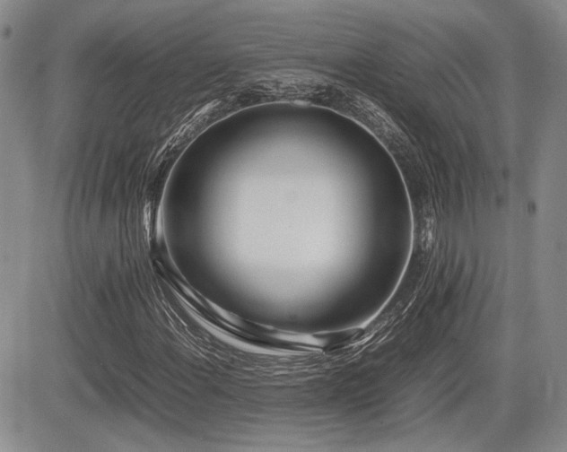 X0000085791108200703161116