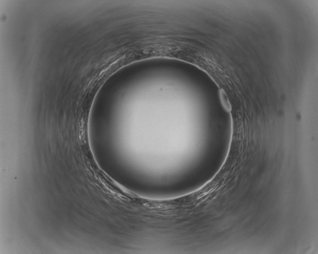 X0000085791109200703161116