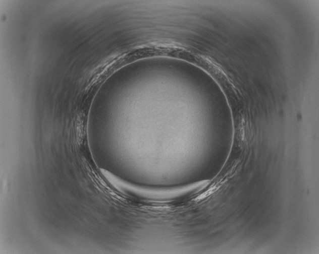 X0000085791110200703161116