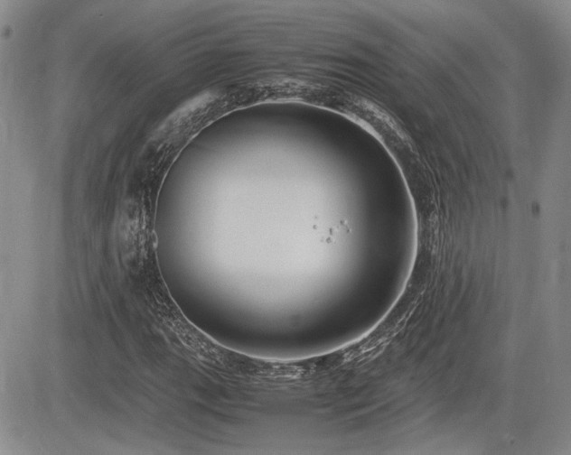 X0000085791111200703161116