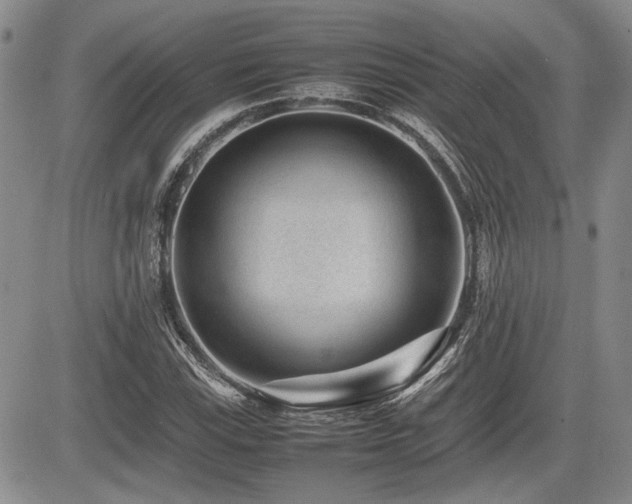 X0000085791115200703161116