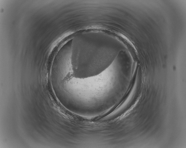 X0000085791117200703161116