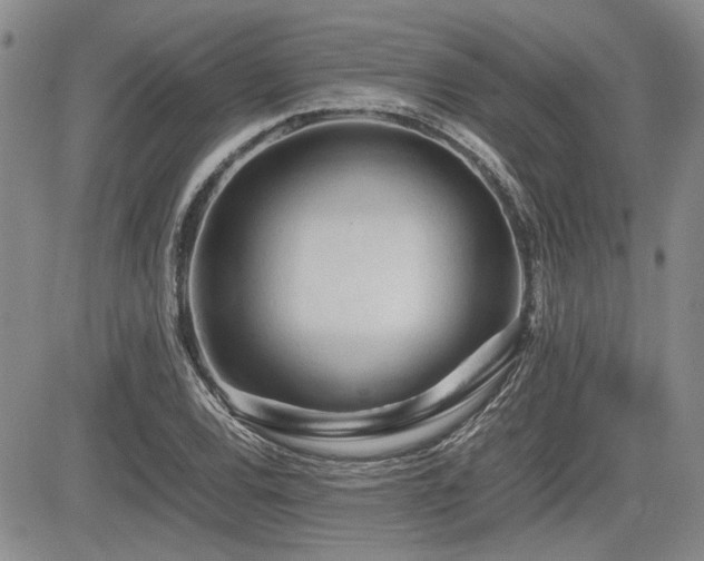 X0000085791120200703161116