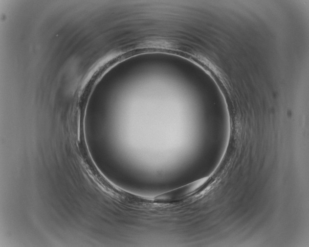 X0000085791123200703161116