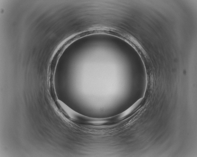 X0000085791124200703161116